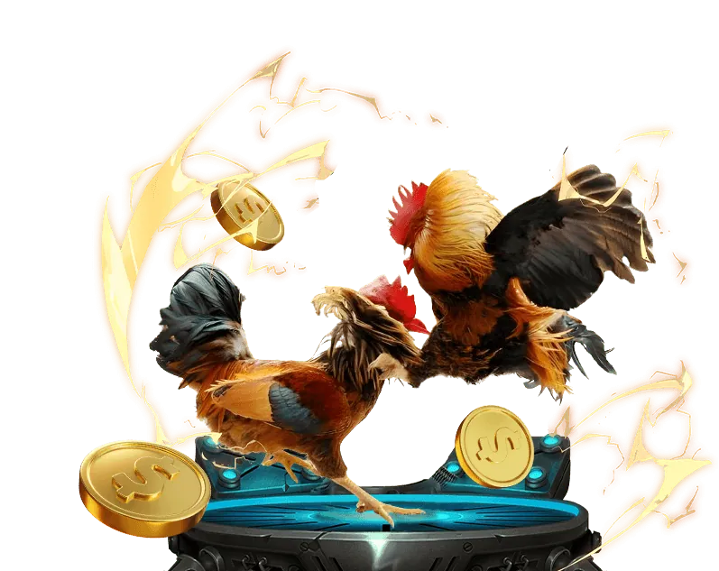 Giải thích về Cookie và cách chúng hoạt động